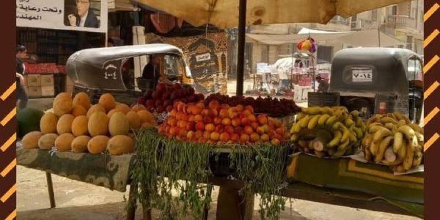 محافظ الجيزة: إقامة 19 سوقًا للسلع الأساسية والخضروات واللحوم والدواجن