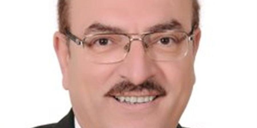 شريف حبيب: لا يوجد مبرر مطلقًا لإلغاء الهبوط.. وعوائد الدوري ضعيفة جدًا