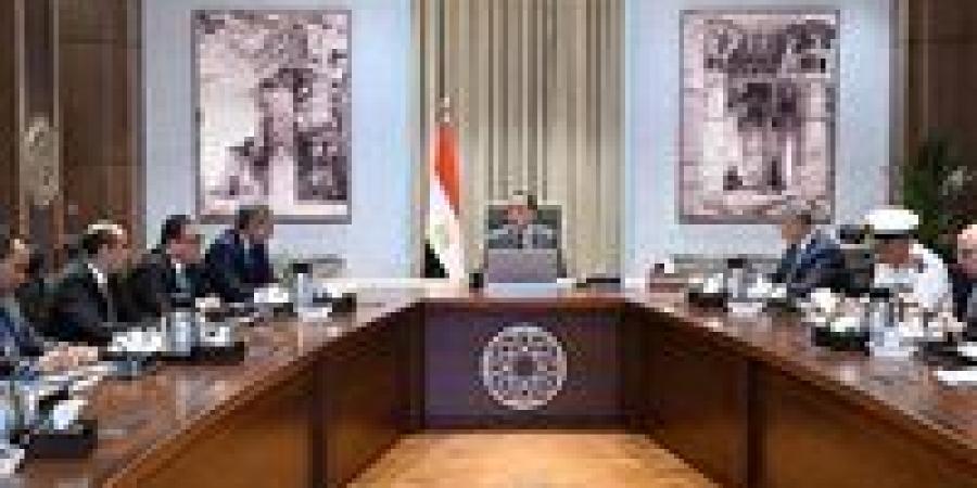 رئيس الوزراء يناقش سُبل الاستفادة من الآثار الغارقة بخليج أبي قير