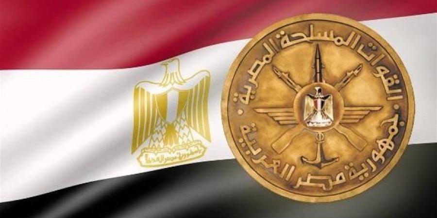 القوات المسلحة: استشهاد رائد طيار سيد سليمان وملازم أول باسم شبل في سقوط طائرة تدريب