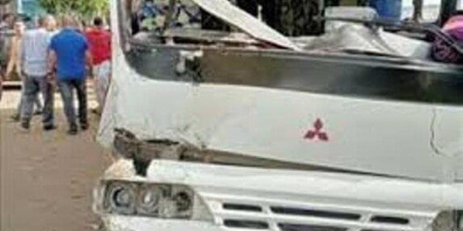 إصابة 3 أشخاص بينهم أم وابنها فى تصادم بطوخ