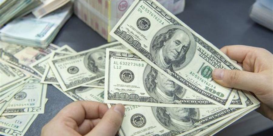 بعد توقعات صندوق النقد.. خبيرة تكشف أسباب التفاؤل بسعر صرف الجنيه أمام الدولار خلال 2025