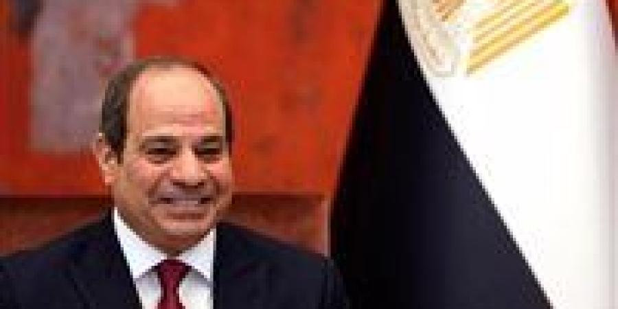 المستشار محمد إبراهيم مشرفا على أعمال المجالس التخصصية لعام جديد