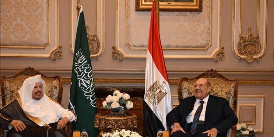 رئيس الشيوخ: العلاقات المصرية السعودية تشهد ترابطا وتفاهما على مختلف الأصعدة