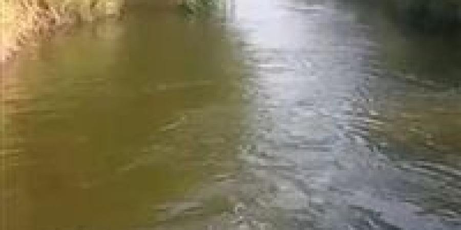 مصرع طفل غرقًا بترعة بورسعيد في القنطرة غرب بالإسماعيلية