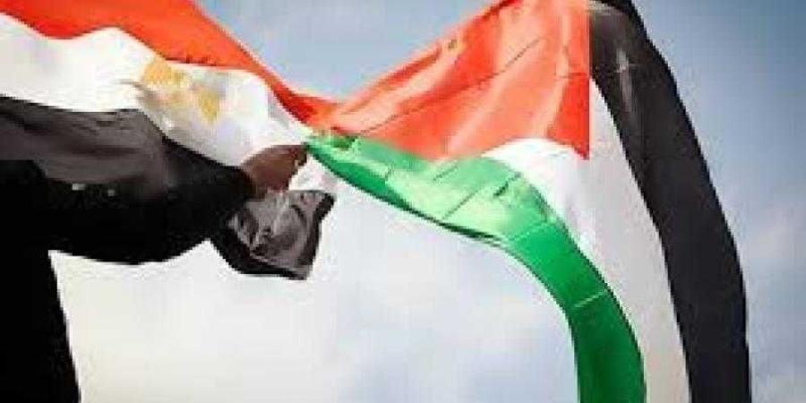 باحث سياسي: الرئيس السيسي لم يفرط في الدفاع عن حقوق الشعب الفلسطيني