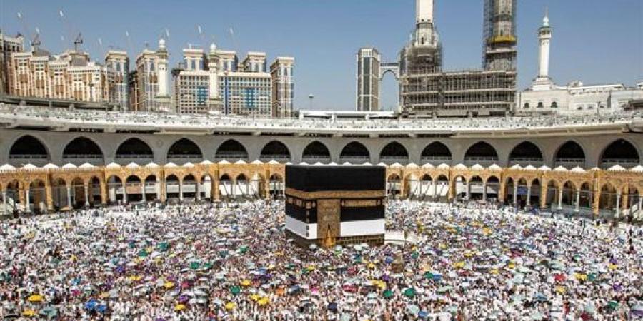 استقبال مهيب لحجاج القرعة المصريين في المدينة المنورة مع تنظيم إلكتروني متطور