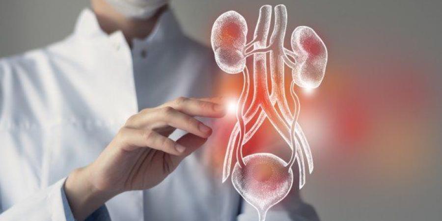 نجاح أول عملية زرع مثانة في العالم.. "لحظة فارقة في تاريخ الطب"