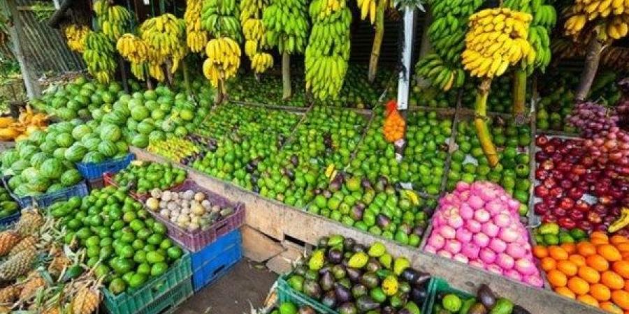 استقرار أسعار الخضر والفاكهة في أسواق الوادي الجديد