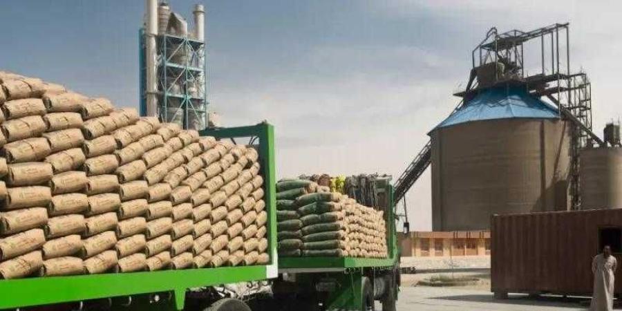 بعد تجاوز السعر 4000 جنيه للطن.. «حماية المنافسة» يعلق خفض إنتاج الأسمنت شهرين