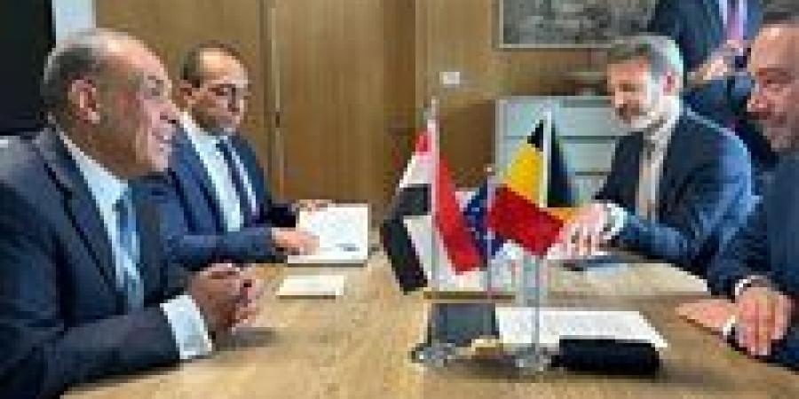 وزير الخارجية: يجب تكثيف المساعدات لمواجهة الوضع الإنسانى الكارثى في غزة