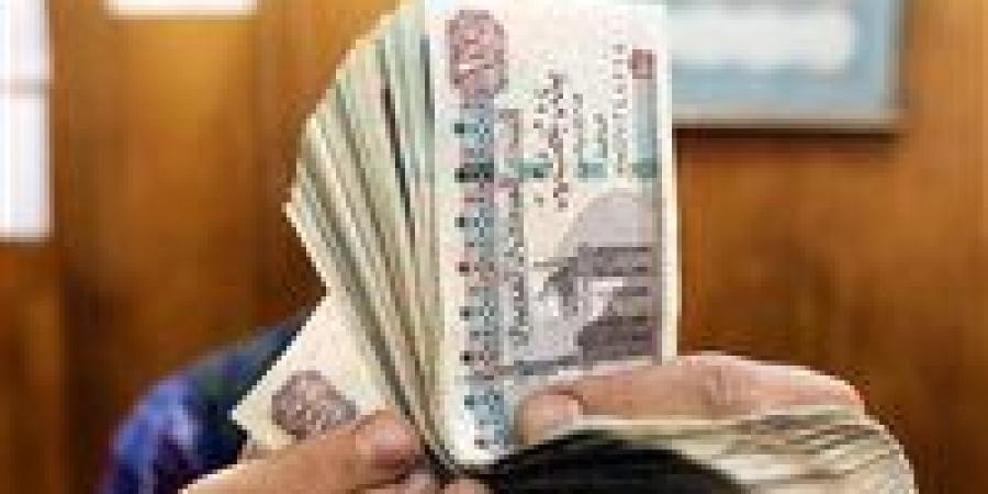 700 جنيه..تعرف على قيمة الحافز الإضافي للعاملين بالدولة وفقاً للقانون الجديد