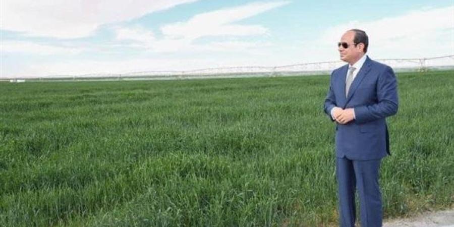 السيسي: نأمل إضافة 800 ألف فدان جديدة إلى المساحة الزراعية بحلول أغسطس المقبل