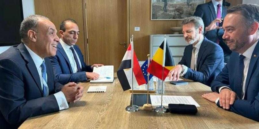 وزير الخارجية والهجرة يلتقى مع نائب رئيس الوزراء وزير خارجية بلجيكا