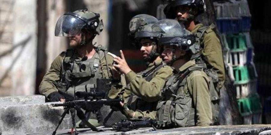 الاحتلال يعلن دخول شاحنات مساعدات جديدة لغزة