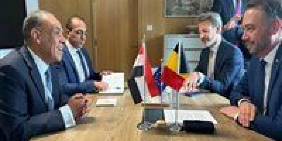 وزير الخارجية يشيد بالعلاقات المتميزة بين مصر وبلجيكا