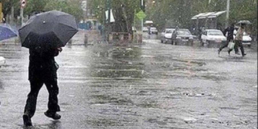 السلطات الأسترالية: 16 ألف شخص حاصرتهم الأمطار الغزيرة جنوب شرق البلاد