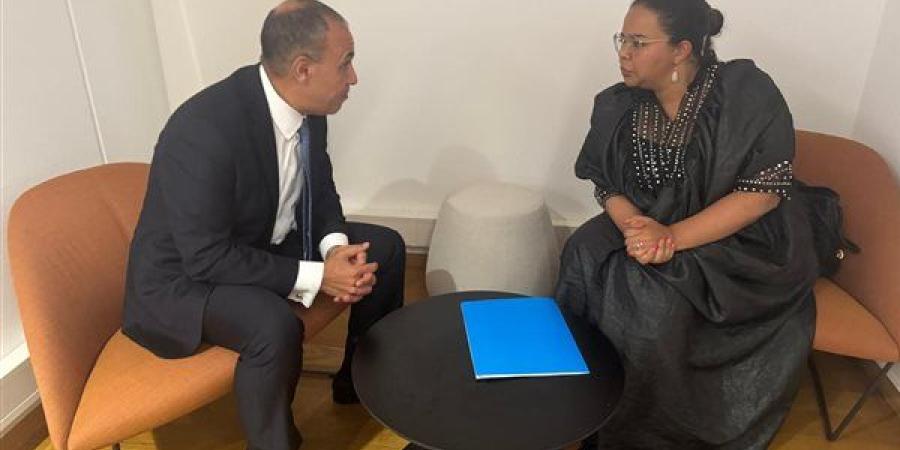وزير الخارجية يلتقى مع وزيرة الخارجية بالكونجو الديمقراطية