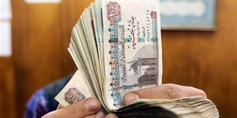 أعلى شهادة ادخار بعائد شهري ثابت بعد قرار البنك المركزي المصري بخفض الفائدة