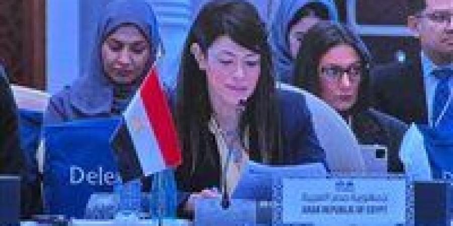 المشاط: الاستقرار الاقتصادي ضرورة لدفع النمو لكنه لا يكفي بدون إصلاحات لتمكين القطاع الخاص