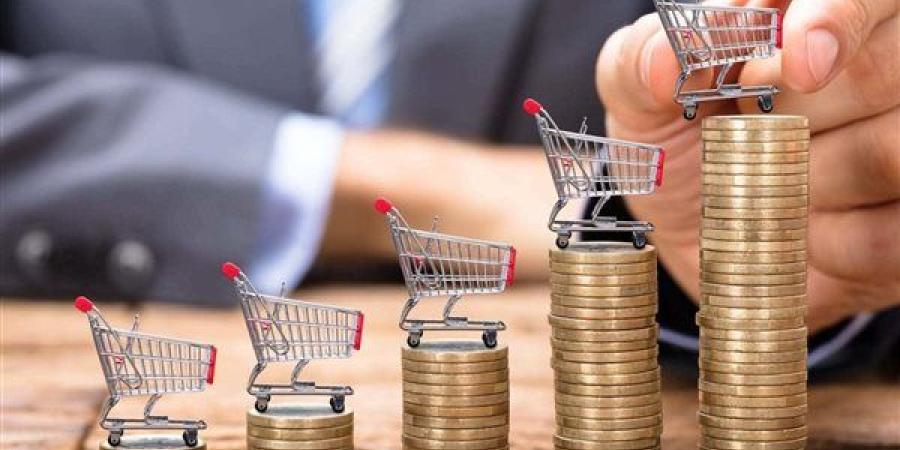ما هو التضخم الضمني الذي أشار إليه البنك المركزي المصري في بيان خفض الفائدة؟