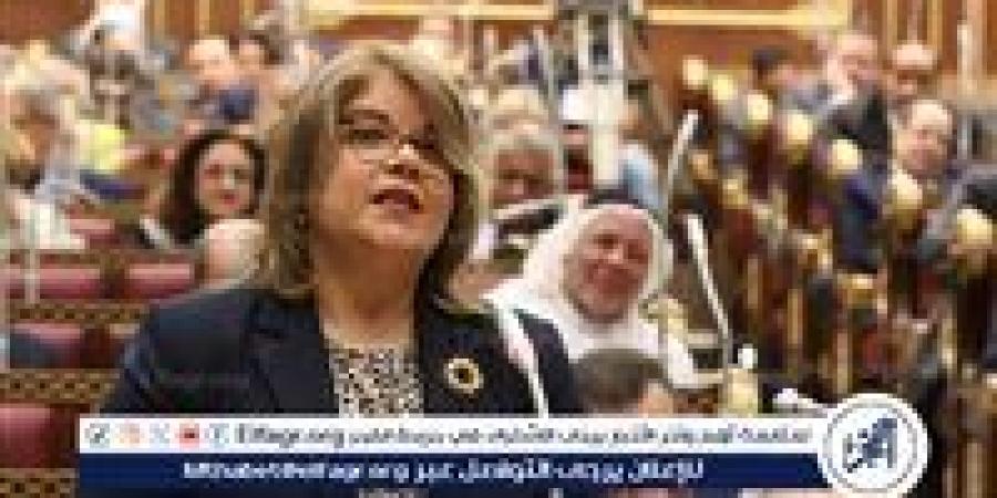 وكيل الشيوخ: التعديلات الانتخابية الجديدة تُعزز التمثيل العادل وتدعم الاستقرار