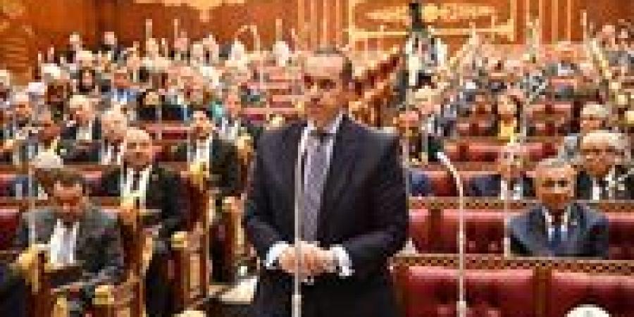 الوزير محمود فوزي: الحرية متروك في اختيار دائرة الترشح لأي شخص.. والكلمة النهائية للناخب