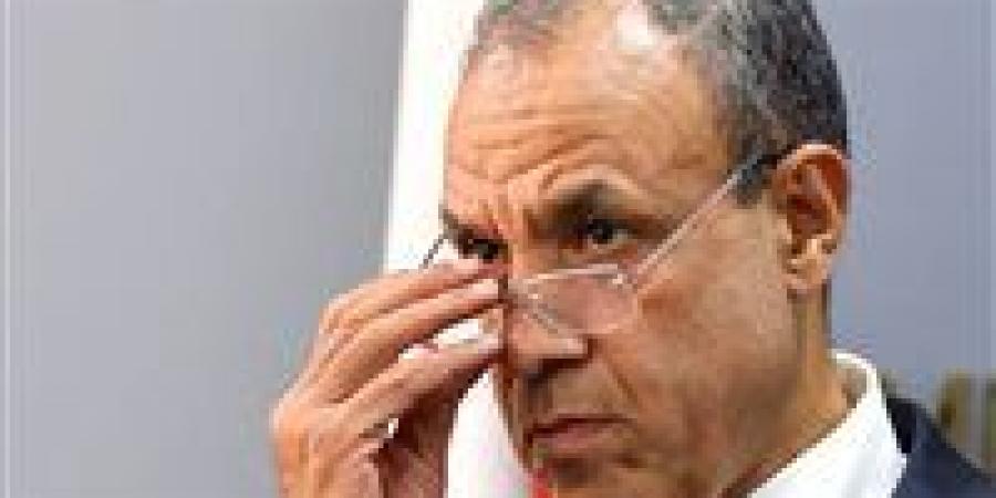 وزير الخارجية: مصر خسرت 8 مليارات دولار منذ بداية حرب إسرائيل على غزة