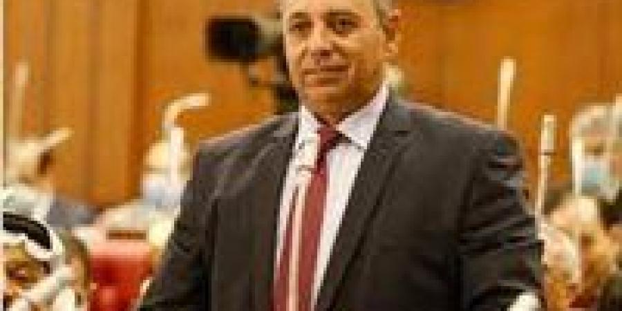 أمين تحالف الأحزاب المصرية أمام الشيوخ: قانون تقسيم الدوائر الجديد راعي الناخب في اختيار من يراه مناسبا
