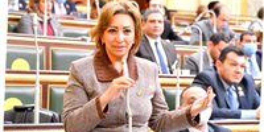 النائبة مها عبد الناصر: الانتخابات بالقائمة المطلقة المغلقة تجعل العملية الانتخابية أشبه بالتعيين
