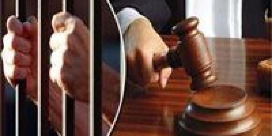 السجن 15 سنة لتاجر قتل شخص بفرد خرطوش بشبرا الخيمة