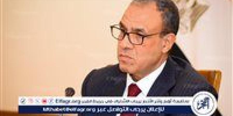 وزير الخارجية يستعرض انعكاسات خفض التصعيد في البحر الأحمر على الملاحة