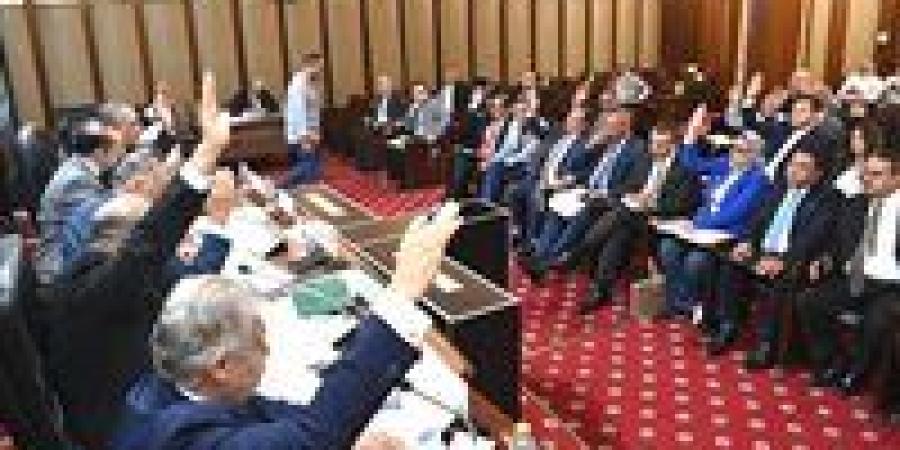 موعد انتخابات مجلس الشيوخ 2025.. المستندات المطلوب