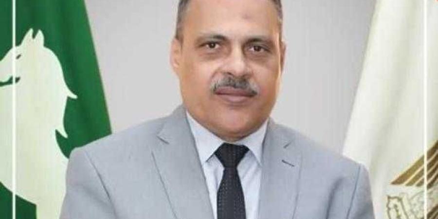 محافظ الشرقية: إنتظام سير العمل بمنظومة توريد القمح لشون وصوامع المحافظة