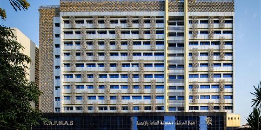 الإحصاء: 4.7% ارتفاعًا في الصادرات المصرية لدول الاتحاد الإفريقي خلال 2024