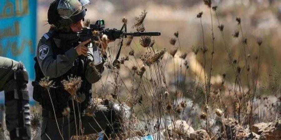 خبير سياسات دولية: الموقف الدولي تجاه إسرائيل يشهد تحولًا ملحوظًا