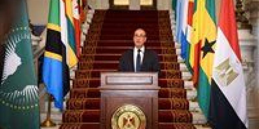 وزير الخارجية: الأجندة الإفريقية تأتى على رأس أولويات السياسية الخارجية المصرية