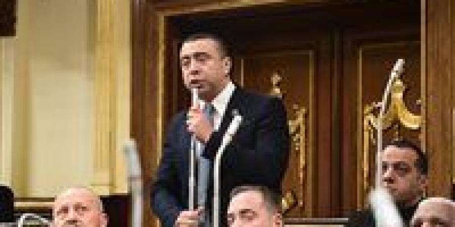 «برلمانية حماة الوطن» تعلن موافقتها على قوانين الانتخابات وتقسيم الدوائر مبدئيا