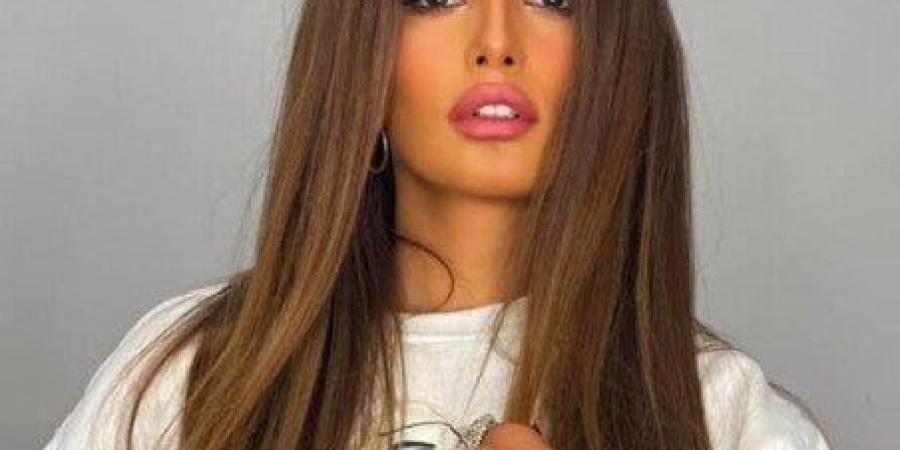 اليوم.. أولى جلسات استئناف زينة على حكم إلزام أحمد عز بزيادة نفقة ابنيها