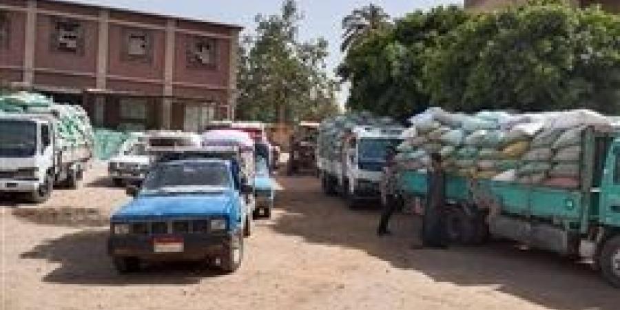 توريد 435 ألف طن من القمح بصوامع المنيا