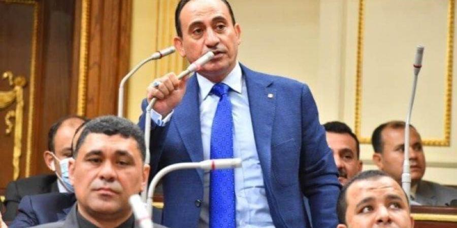 نائب يطالب بالتنسيق بين الجهات المختلفة أثناء تسليم مشروعات الصرف الصحي