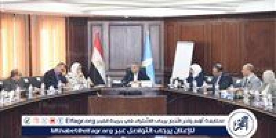 استعدادات الإسكندرية المكثفة لاستقبال عيد الأضحى المبارك