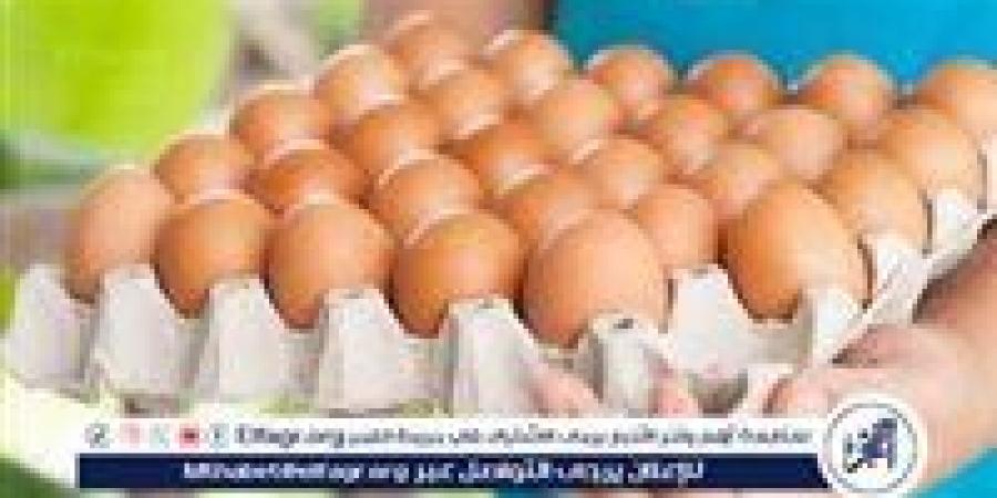 أسعار طبق البيض اليوم الاحد 25-5-2025 في قنا