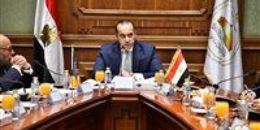 المستشار محمود فوزي يؤكد حرص الدولة المصرية على مواصلة التشاور البنّاء وتعزيز الحوار البرلماني مع الجانب الأوروبي