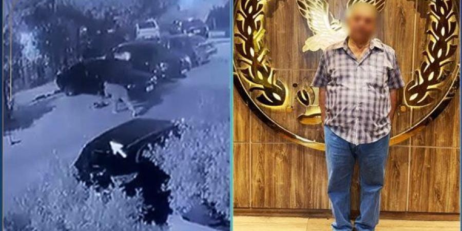 الداخلية تكشف ملابسات واقعة الاعتداء على كلب ضال بمنطقة النزهة بالقاهرة