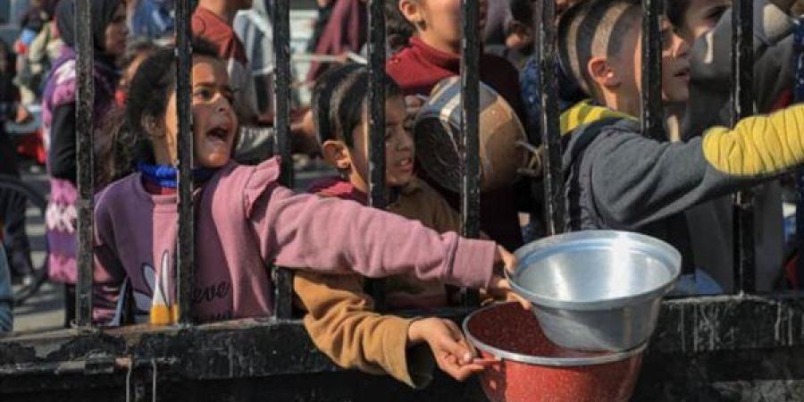 إطلاق نار وفوضى أثناء توزيع المساعدات غرب رفح الفلسطينية وتعليق للعمليات.. فيديو