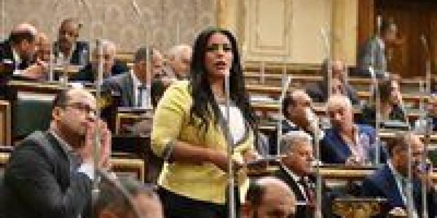 نائبة تنسيقية تطالب بالرقابة على الحد الأدنى للأجور ومعالجة تفاوت الرواتب