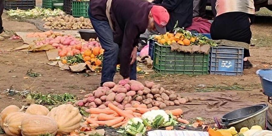 الأداء يتراجع في القطاع غير المنظم