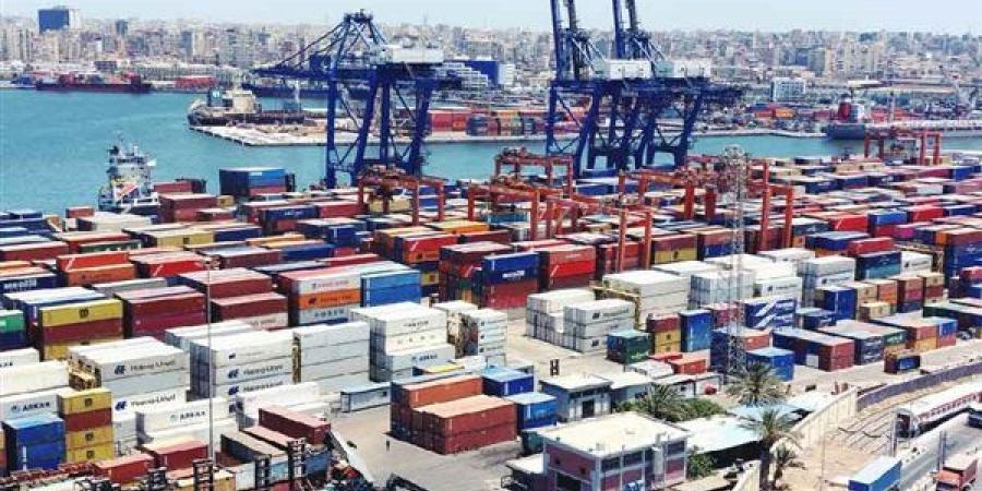 الحكومة توافق على إنشاء منطقة لوجستية بميناء الدخيلة لتداول بضائع الصب النظيف