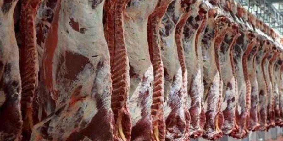 شعبة القصابين تكشف أسعار اللحوم في الأسواق قبل عيد الأضحى.. فيديو